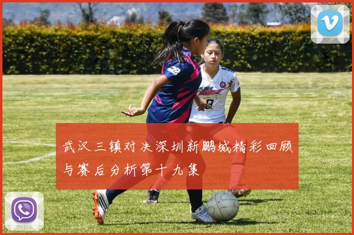 武汉三镇对决深圳新鹏城精彩回顾与赛后分析第十九集